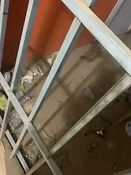 Snapshot of Black_mamba_madingo chatting on March 12, 2025, 4:08 am Black mamba madingo online show from March 12, 2025, 4:08 am