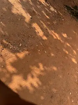 Snapshot of Black_mamba_madingo chatting on March 21, 2026, 8:41 am Black mamba madingo online show from March 21, 2026, 8:41 am