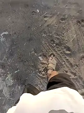 Piyush 2024 online show from March 26, 2026, 1:55 am