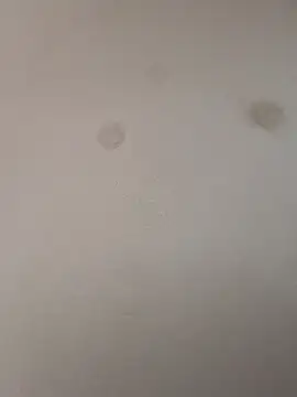 geilerschwanz64 online show from January 9, 2025, 9:05 pm