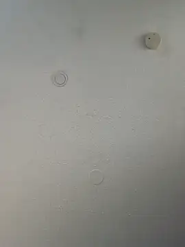 geilerschwanz64 online show from March 20, 2025, 10:18 pm