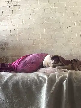 Snapshot of Sweet___Dick chatting on January 30, 2025, 7:18 am Sweet Dick online show from January 30, 2025, 7:18 am