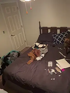 torilux online show from February 8, 2025, 11:34 pm