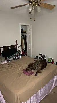 torilux online show from February 25, 2025, 8:14 am