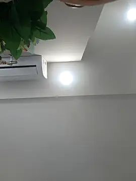 Snapshot of Archi-07 chatting on February 3, 2026, 6:11 am Archi-07 online show from February 3, 2026, 6:11 am