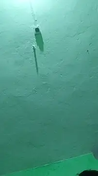 RADHAHO online show from October 9, 2025, 7:23 pm