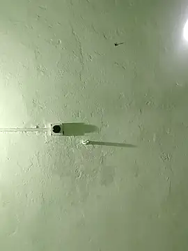 RADHAHO online show from October 29, 2025, 8:32 pm