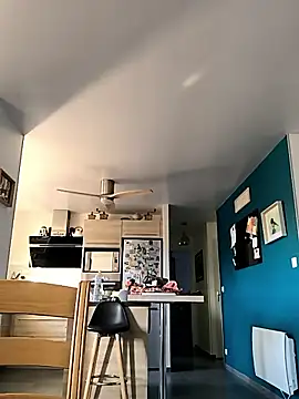 bogland33 online show from November 18, 2025, 8:19 am