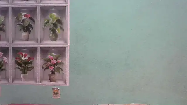 nanhi munni online show from February 19, 2026, 1:45 am