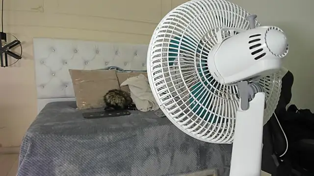 Snapshot of Slut_Milf_ chatting on January 23, 2025, 10:44 pm Slut Milf  online show from January 23, 2025, 10:44 pm