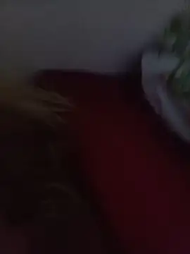 NatashaDormat online show from November 26, 2025, 2:12 am