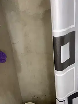 Snapshot of Romax2 chatting on January 17, 2025, 1:57 am Romax2 online show from January 17, 2025, 1:57 am