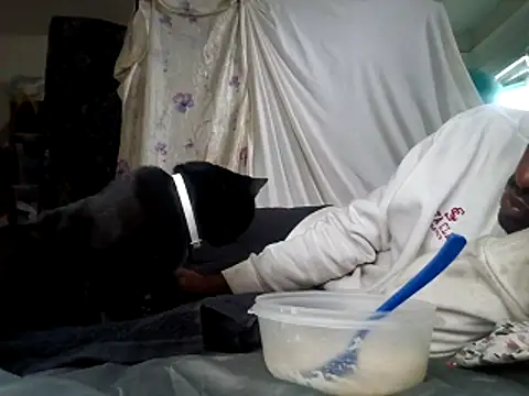 Snapshot of DevinToore chatting on December 15, 2025, 6:01 pm DevinToore online show from December 15, 2025, 6:01 pm