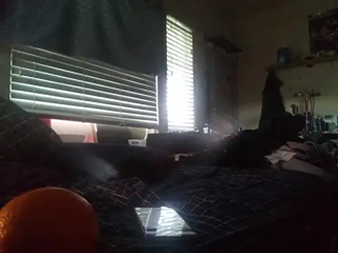 Snapshot of DevinToore chatting on February 24, 2026, 6:39 pm DevinToore online show from February 24, 2026, 6:39 pm