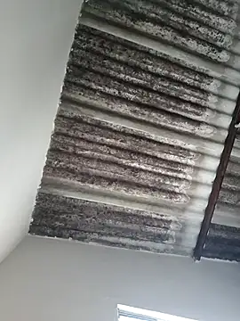 putoso031 online show from February 23, 2025, 6:23 pm