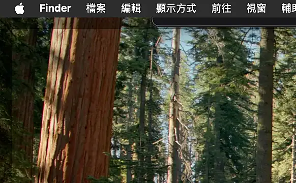 Snapshot of ex199212 chatting on March 8, 2025, 1:50 am ex199212 online show from March 8, 2025, 1:50 am