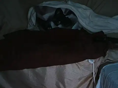 Snapshot of VeneRed chatting on October 1, 2025, 6:47 pm VeneRed online show from October 1, 2025, 6:47 pm