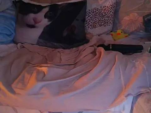 Snapshot of VeneRed chatting on November 30, 2025, 7:51 pm VeneRed online show from November 30, 2025, 7:51 pm