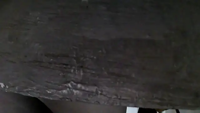 Snapshot of GO_LALA chatting on December 5, 2024, 8:44 am GO LALA online show from December 5, 2024, 8:44 am