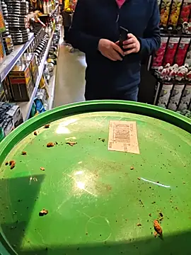 nataliecdlive online show from March 3, 2026, 12:11 pm