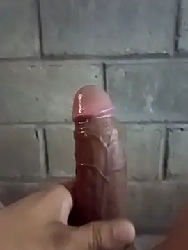 ga213333 online show from November 20, 2025, 6:40 pm