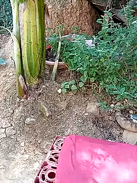 Snapshot of tayson_ chatting on January 11, 2025, 3:20 pm tayson online show from January 11, 2025, 3:20 pm