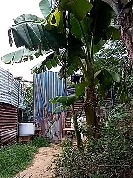 Snapshot of tayson_ chatting on March 14, 2025, 11:34 am tayson online show from March 14, 2025, 11:34 am