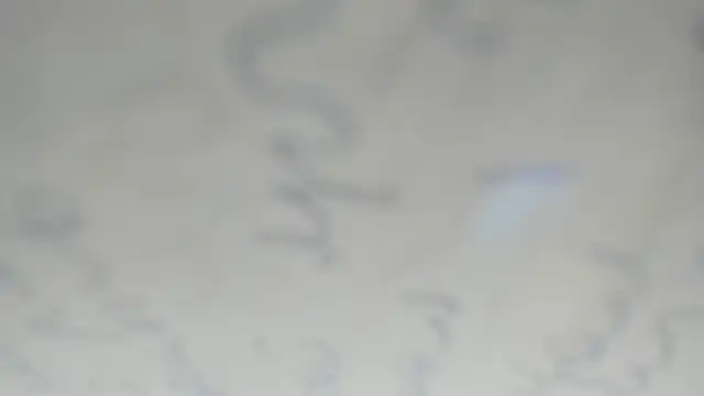 elis gabbi online show from December 20, 2025, 1:23 am