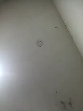 jeremiabello online show from March 17, 2025, 10:49 am