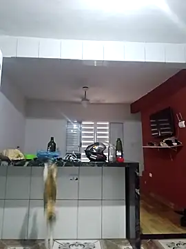 VibratedPoaching online show from March 19, 2026, 1:59 pm