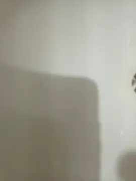 Snapshot of 1995eduardo chatting on February 17, 2025, 3:53 pm 1995eduardo online show from February 17, 2025, 3:53 pm