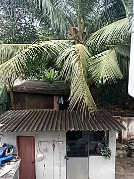 Rj   shan online show from December 13, 2024, 10:51 am