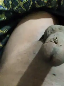 pusssyhub online show from November 24, 2025, 11:59 pm