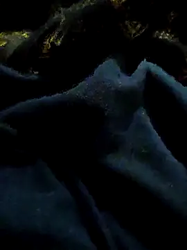 pusssyhub online show from November 29, 2025, 11:08 pm