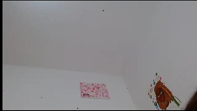 Snapshot of kity__ chatting on February 24, 2025, 4:58 pm kity   online show from February 24, 2025, 4:58 pm