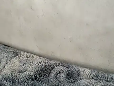 Snapshot of Bangaloreboy021 chatting on February 23, 2025, 5:12 am Bangaloreboy021 online show from February 23, 2025, 5:12 am