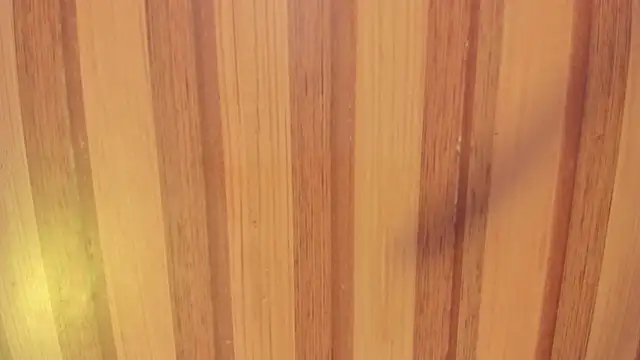 Snapshot of Taylor__cooper chatting on November 15, 2025, 6:37 pm Taylor cooper online show from November 15, 2025, 6:37 pm