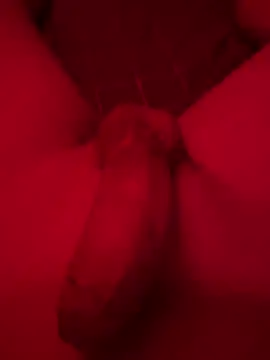 Snapshot of kevin344112 chatting on December 12, 2024, 11:03 pm kevin344112 online show from December 12, 2024, 11:03 pm