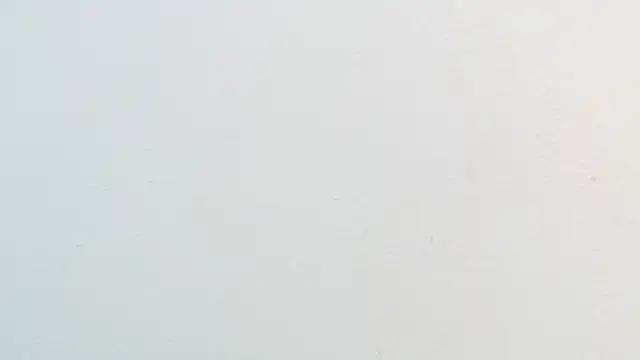 amaranta f00x online show from November 22, 2025, 12:37 pm