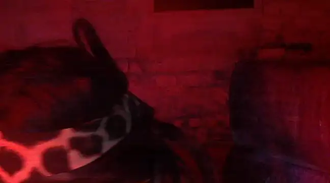 iva spirit online show from February 9, 2025, 7:52 pm