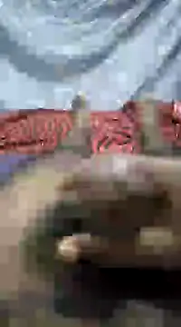 mallucallboy2104 online show from January 1, 2025, 9:09 pm