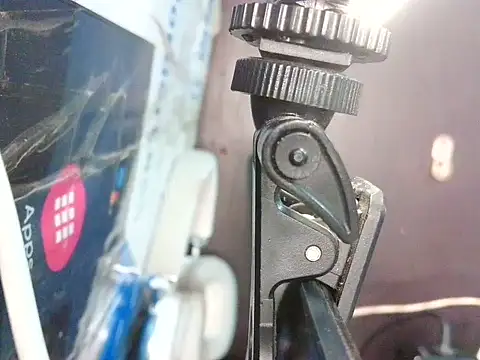 bellacrespalatina online show from April 22, 2026, 2:40 pm