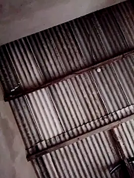 Viny459 online show from December 14, 2025, 8:02 pm