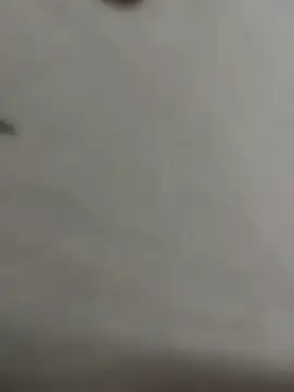 luara1988 online show from April 10, 2026, 1:11 am