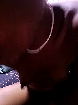 TastyAfrica online show from November 1, 2025, 2:52 pm