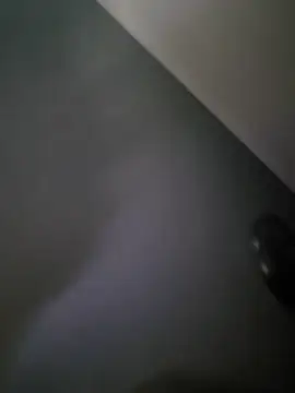 ledadasobho online show from December 21, 2025, 2:08 am