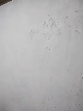 Snapshot of black_cobra70 chatting on October 26, 2025, 12:44 pm black cobra70 online show from October 26, 2025, 12:44 pm