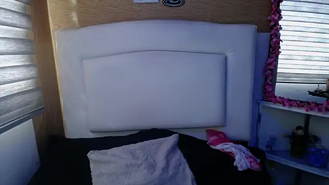 palmer mIix online show from December 19, 2024, 8:23 pm