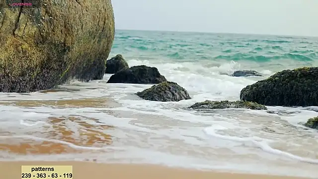  sex in paradise  online show from January 20, 2025, 11:54 pm