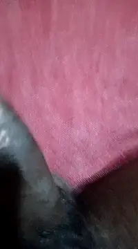 FuckMeNice24 online show from December 6, 2024, 8:29 pm